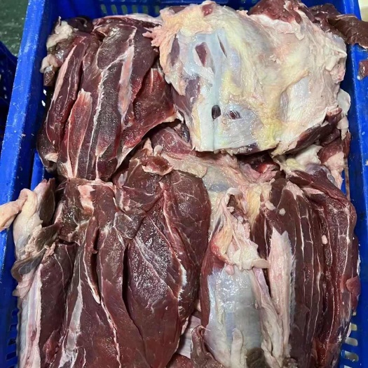 河间市牛腱子，精修牛腱子，精修去骨牛腱子。。。