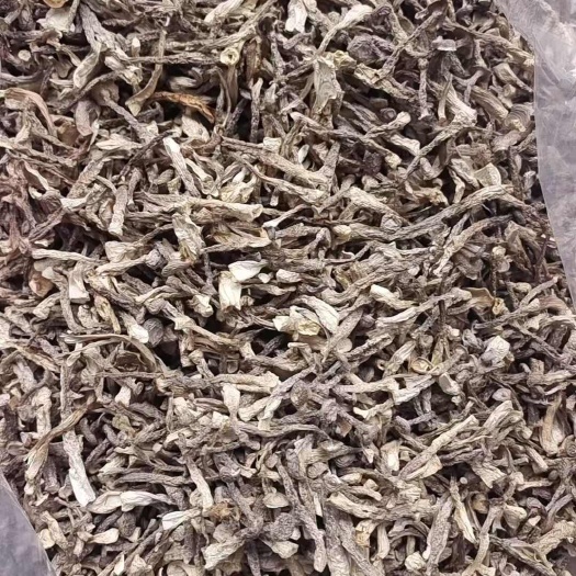 古田县鹿茸菇净重干货脆嫩农家特产新鲜鹿耳菇菌菇煲汤