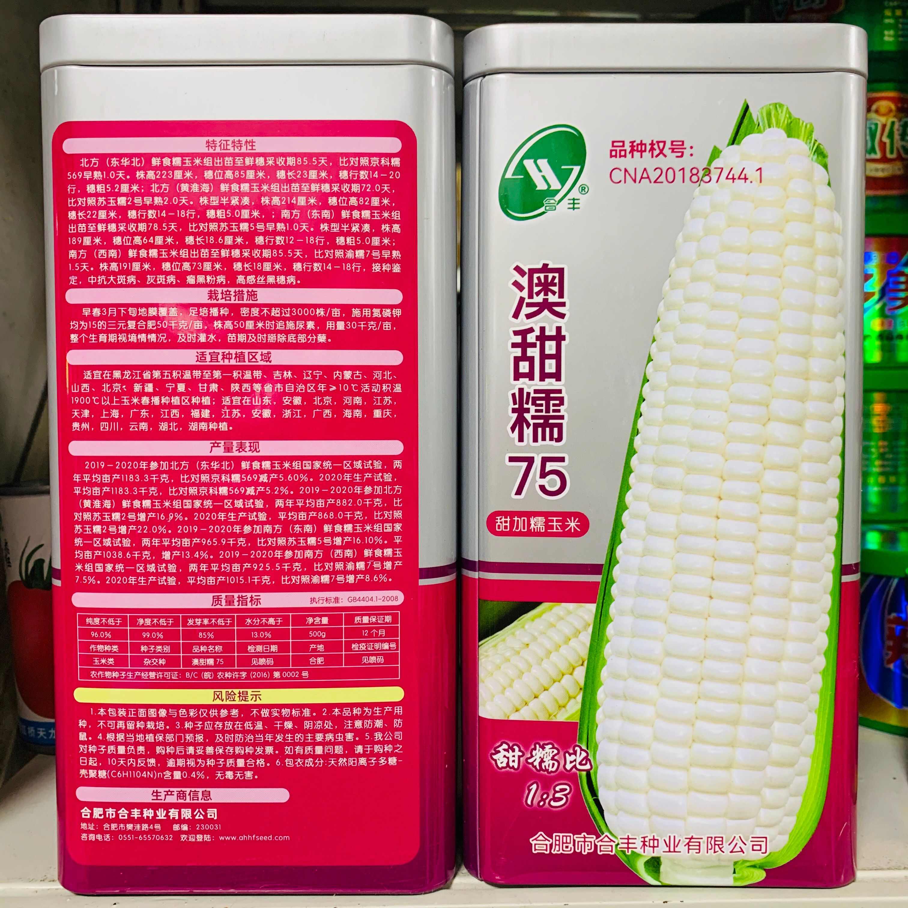 澳甜糯75玉米种子大棒甜加糯玉米种子 鲜食白糯玉米四大区审定