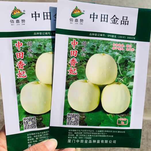 沭阳县中田香妃甜瓜种子美浓甜瓜种子糖度高特甜香瓜种子耐裂香甜