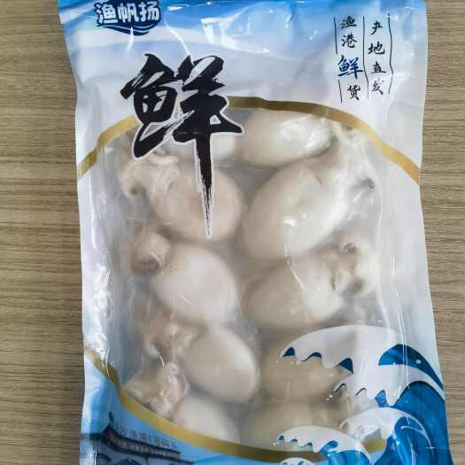 防城港广西防城港港口区新鲜墨鱼仔水产软体类海鲜美食
