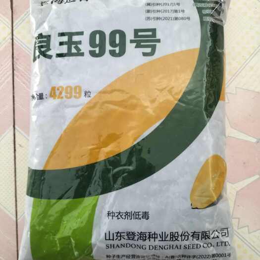 聊城良玉99种子