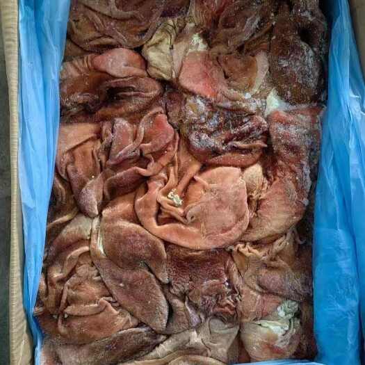 汕头猪肚潮汕本地猪肚屠场直供