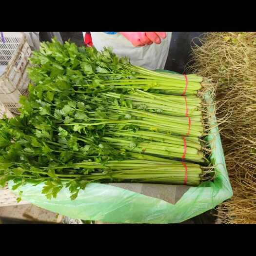 聊城毛芹，全国发货，基地直采，货源充足，保质保量，坏烂包赔