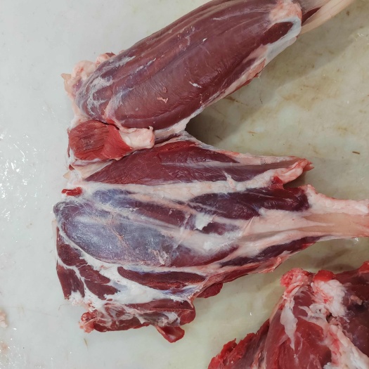 阳信县牛腱子肉 生肉
