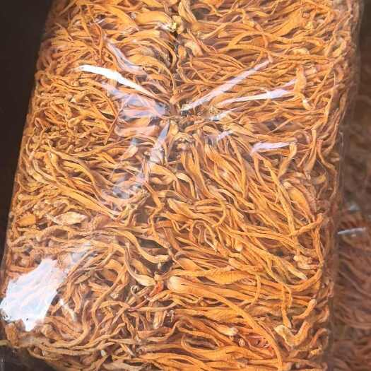 古田县虫草花对排价位优势排草场地直销