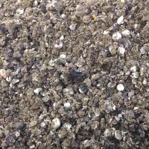 南京新鲜纯鸡粪肥适用于瓜果，蔬菜，果树，花卉苗木虾蟹水产种养殖。