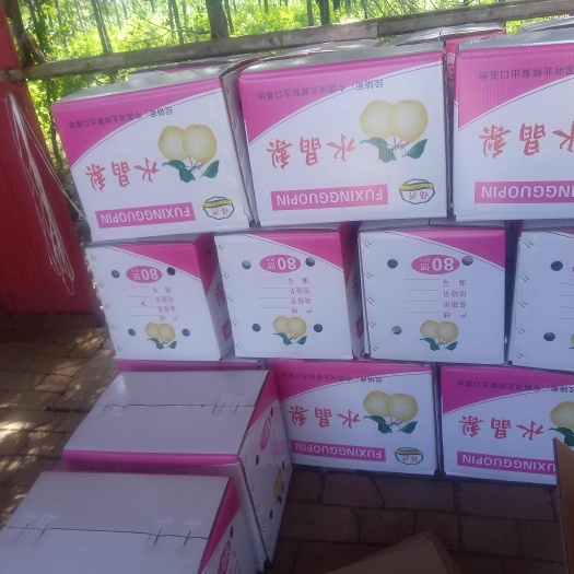 泊头市现有大量库存水晶梨正在出库
