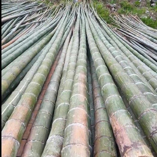 本基地大量供应楠竹，毛竹，竹片等，支持定制，量大价优