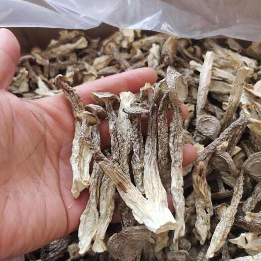 韶关鹿茸菇干货批发如意情品品鲜天华贵旺整车零担批零产地直销