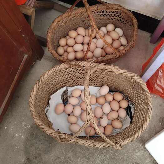 青阳县土鸡蛋