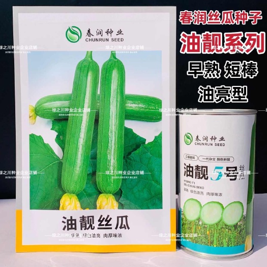 沭阳县春润油靓5号丝瓜种子油皮杂交油亮丝瓜种籽短棒油绿香丝瓜种早熟