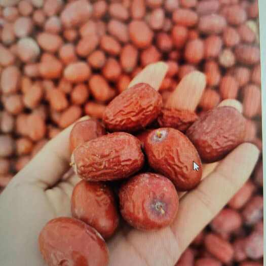 巴楚县南疆三师48团优质灰枣