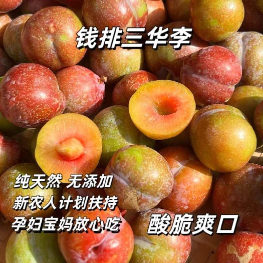 信宜市钱排红心三华李