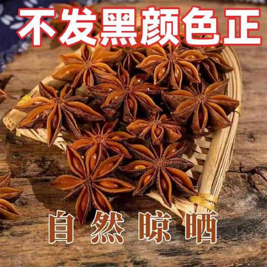 玉林廣西秋季大紅八角