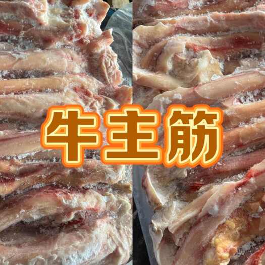 精品纯大筋  牛主筋无脚趾，精修无毛 好货价不高 工厂直营