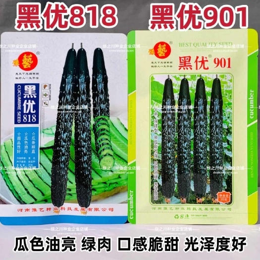 豫艺黑优901黄瓜种子强雌油亮绿心春秋绿肉密刺黄瓜种籽脆甜