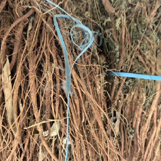 伏牛山甜地丁，全草干货，量大价格优惠，可长期供货！