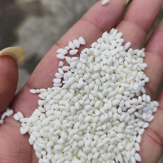 舒城县皖南香糯米大量接单，量大从优。