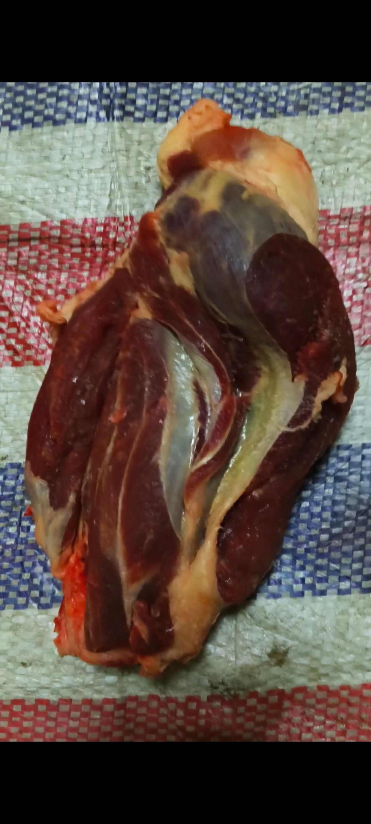 主营甘肃省内  腿肉 腱子 上脑 黄瓜条