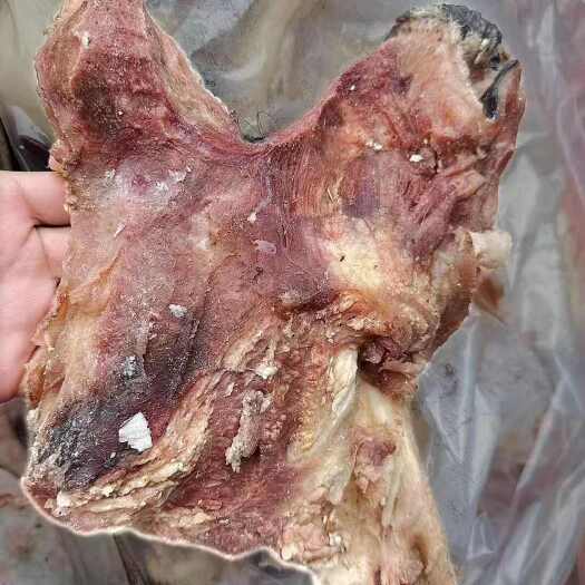 大厂县厂家直销熟牛嘴肉