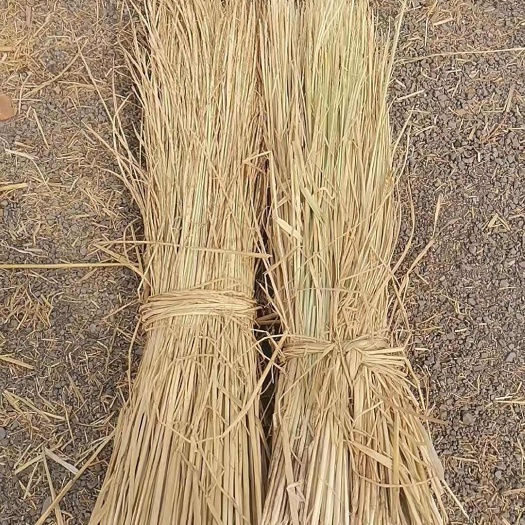 宁夏秸秆治沙稻草，治沙稻草专用平罗县发货 农资优选