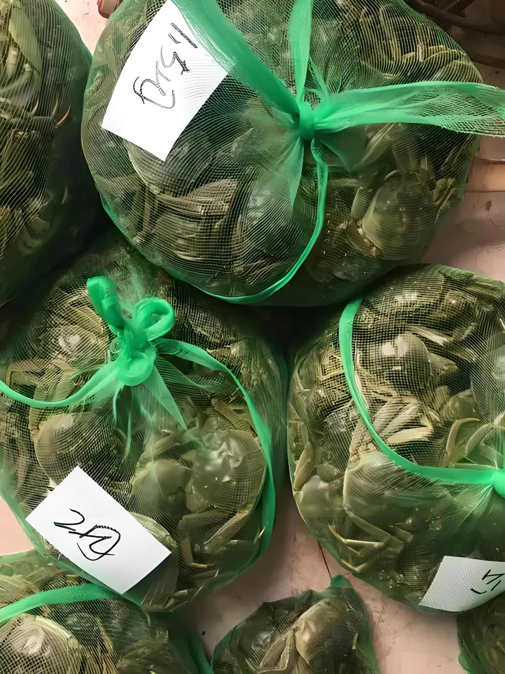 江苏泗洪大闸蟹产地直发品质优良