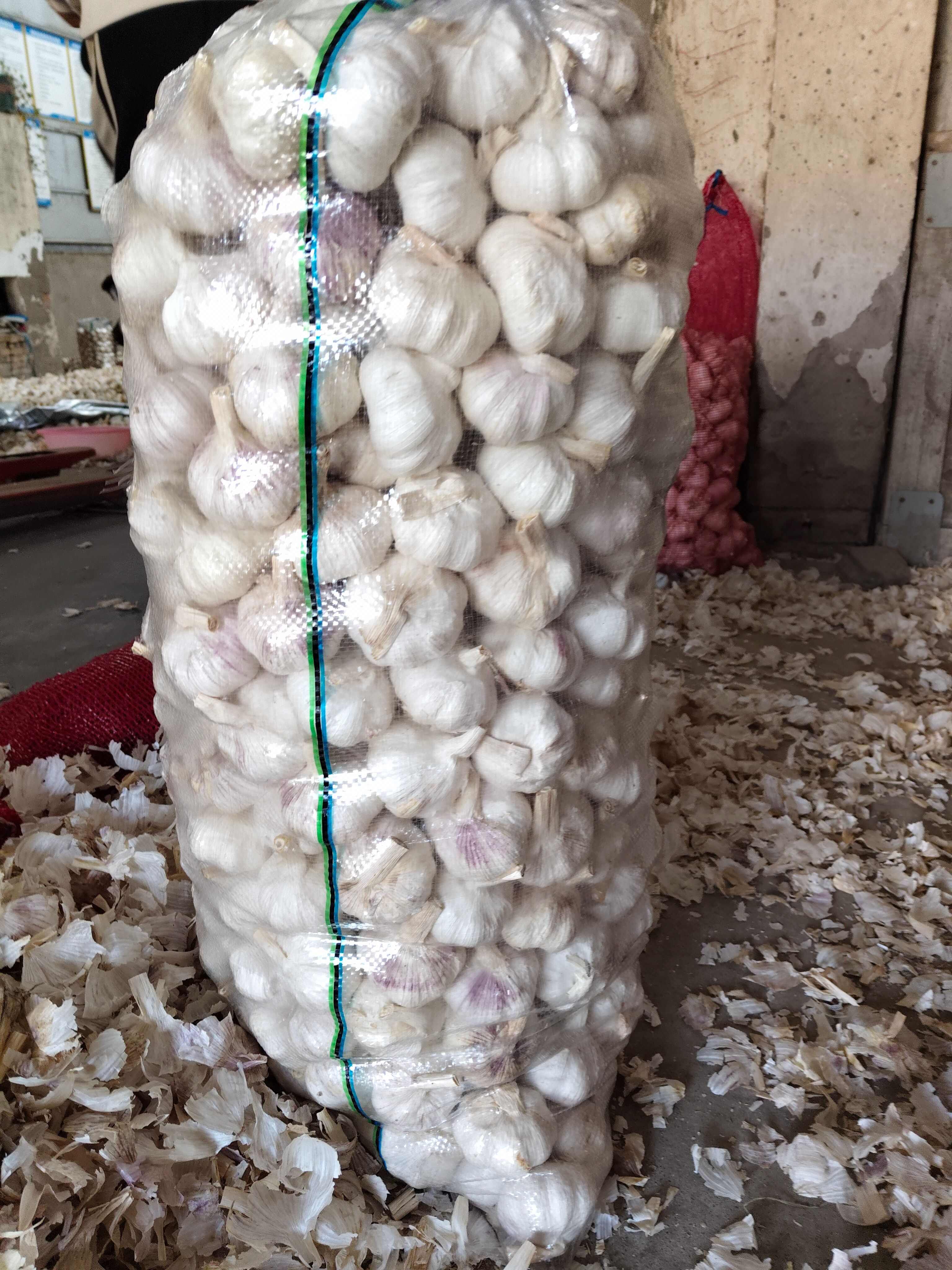 紫皮蒜 杞县产地直发 河南特产 大蒜头个大饱满均匀 香味浓郁