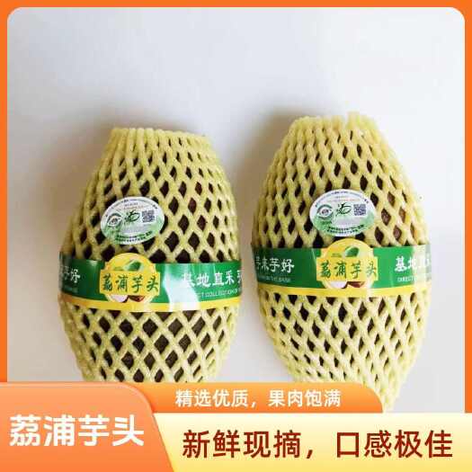 广西荔浦芋头 新鲜现挖 根茎肥大 粘度足 口感粉糯 荔浦发货