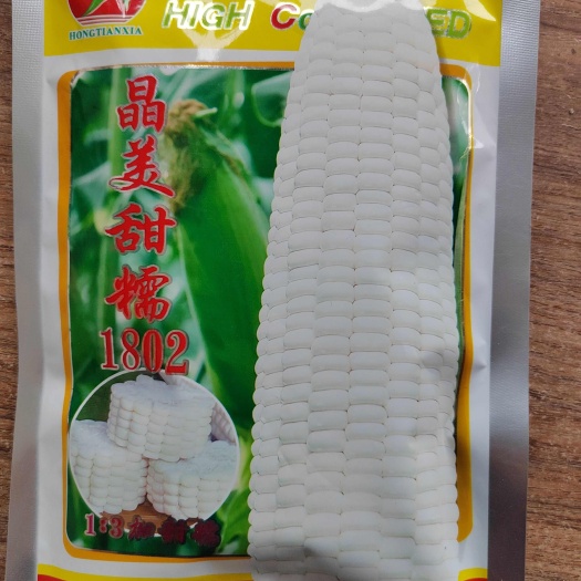 南宁白甜糯1：3的大棒型甜糯，皮薄，排列整齐，高档罐装玉米