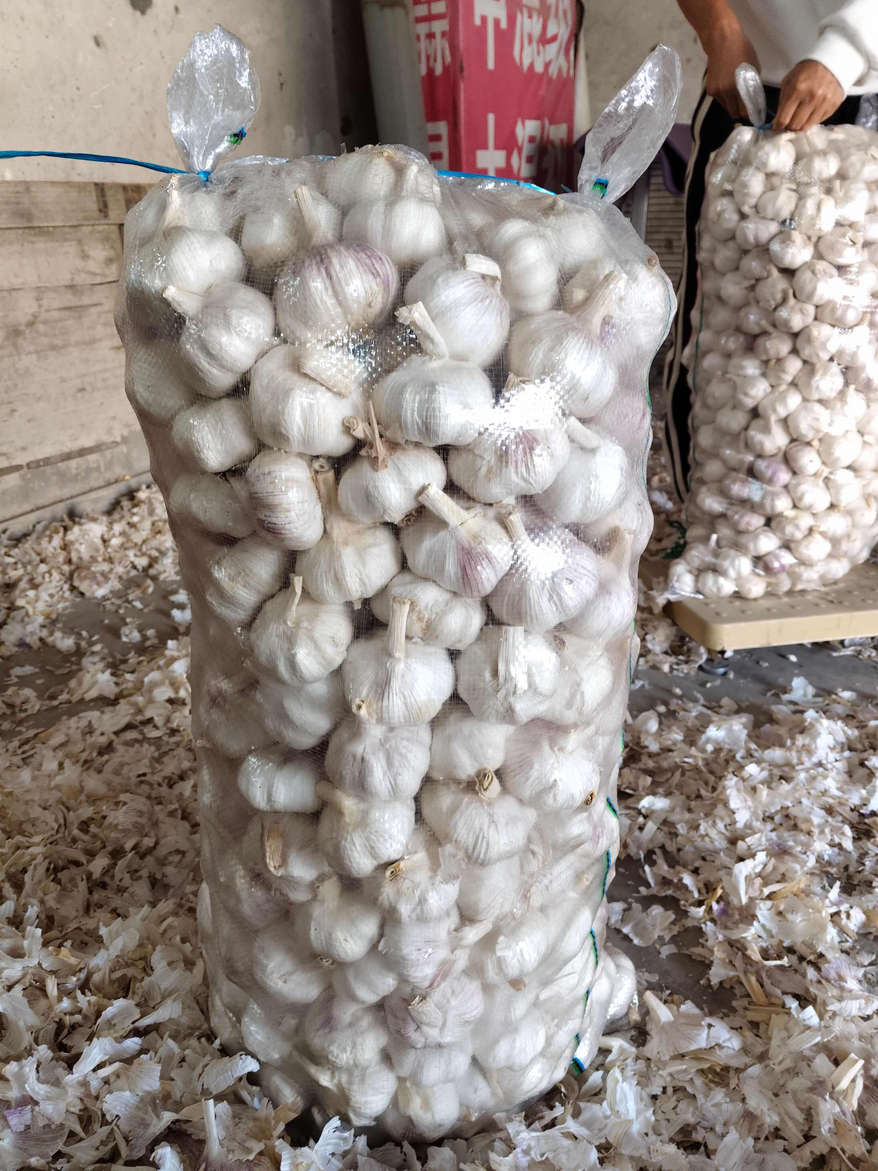 紫皮蒜 杞县产地直发 河南特产 大蒜头个大饱满均匀 香味浓郁