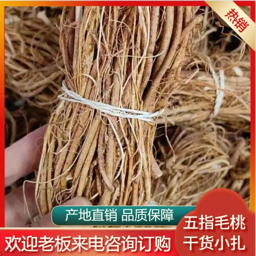 广州五指毛桃小扎小捆五爪龙新货色靓味正足干批发煲汤干货