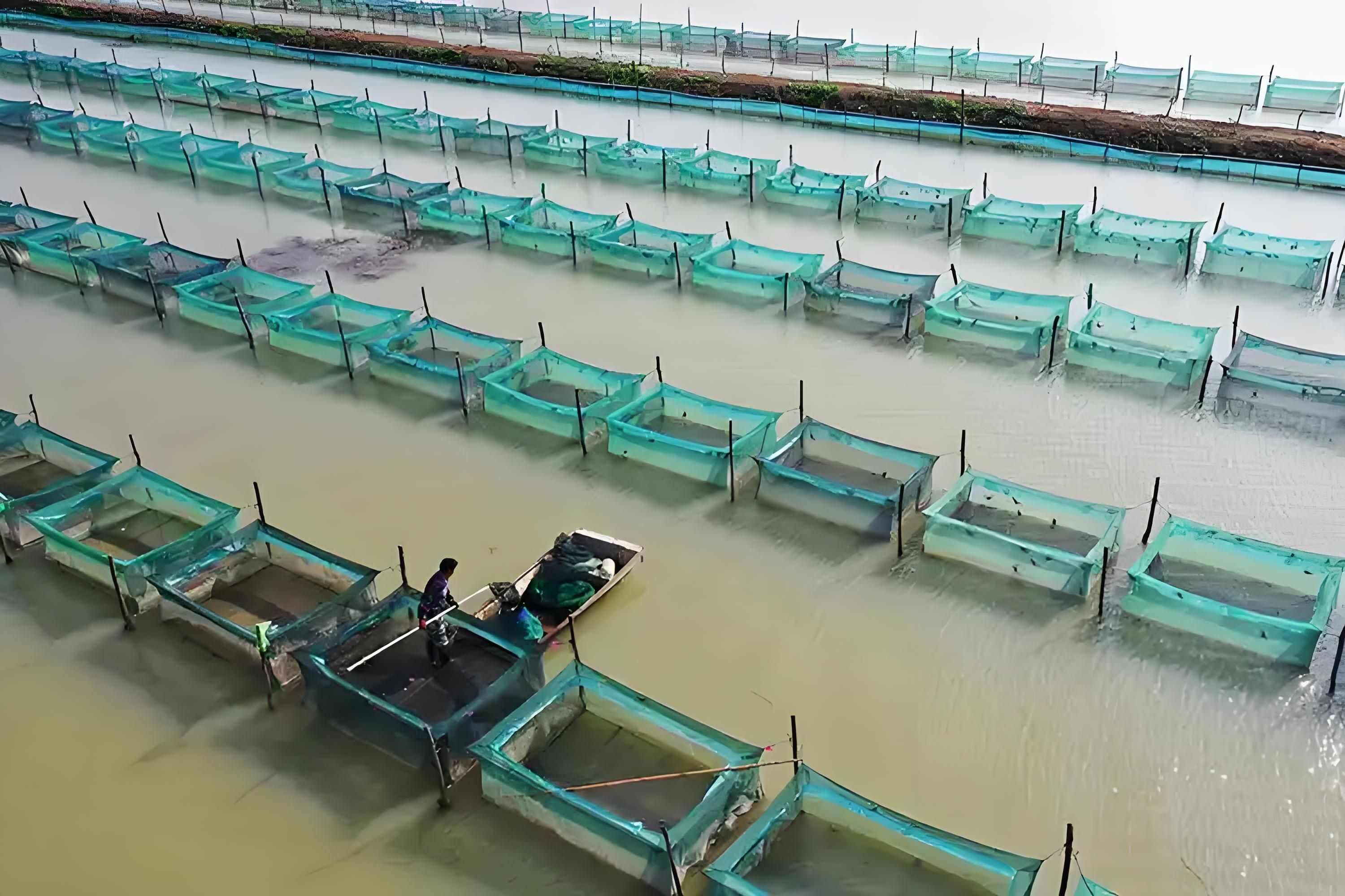 江苏泗洪大闸蟹产地直发品质优良