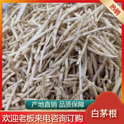 白茅根中药材新鲜干货茅根茅根草甜草根泡水煮水白茅根干净无杂