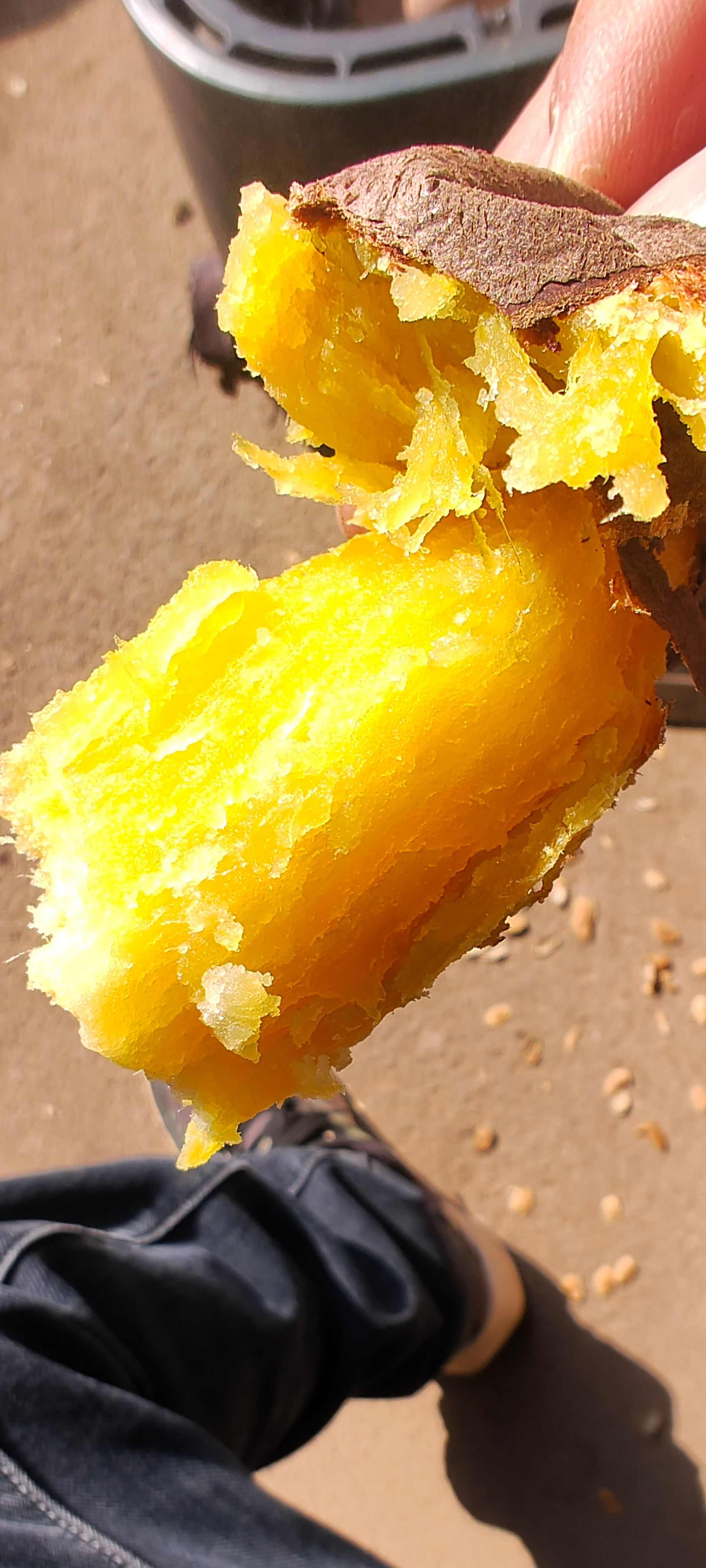 榴莲蜜薯，糖化好的香甜软糯可口，
