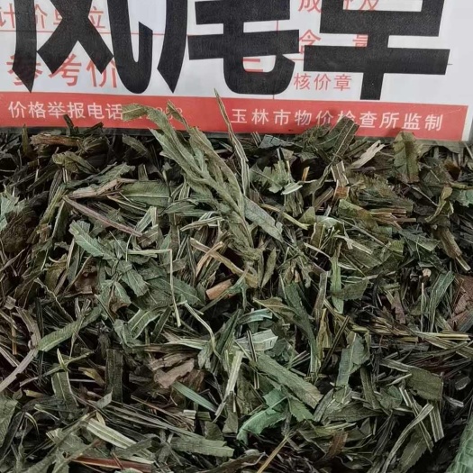 玉林中草药风尾草别名凤尾七 鸡爪草 阉鸡尾