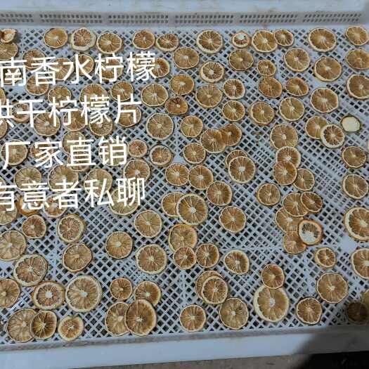 个旧市云南香水柠檬烘干柠檬片可泡水泡茶厂家直销