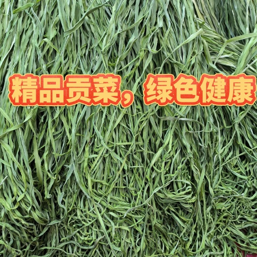 精品贡菜 各种品级 量大价格美 贡菜之乡直发