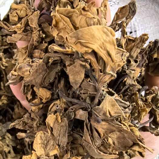 玉林鸡蛋花中药材干货 缅栀子擂捶花大季花蛋黄花广东凉茶原料