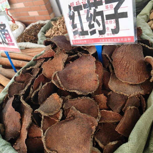 中草药红药子别名赤药朱砂七朱砂莲血三七红孩儿干货