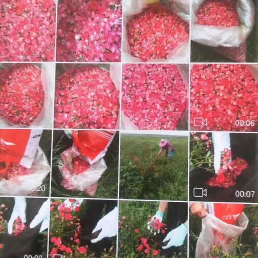 蒙自市玫瑰花酒
新鲜玫瑰花瓣浸泡3年后，再放入蒸锅蒸馏提取的酒液