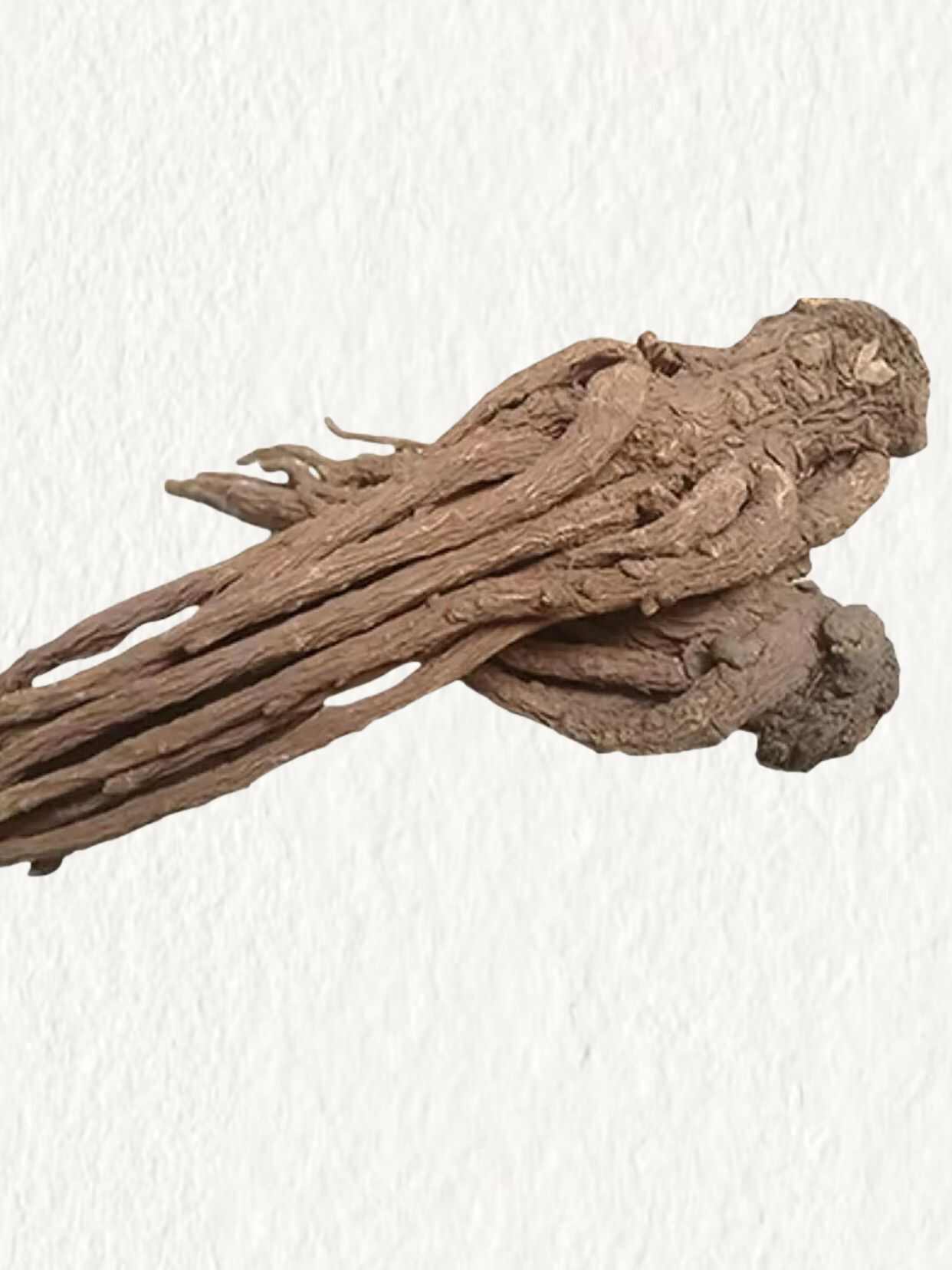 甘肃岷县当归！中国当归之乡！道地药材！产地直发！