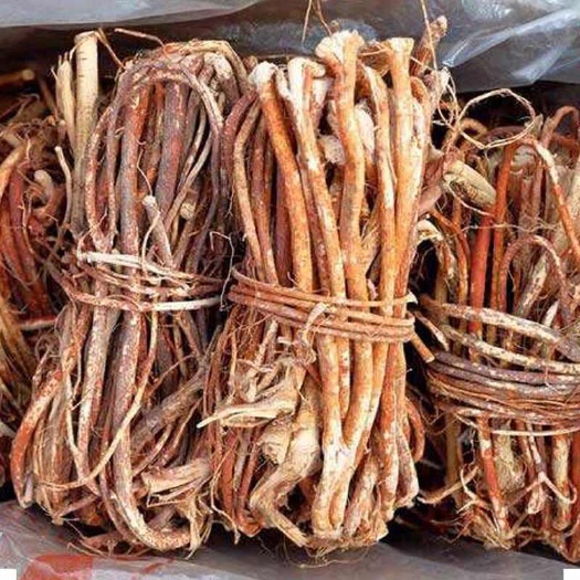 广州中药材五指毛桃根茎类优质货源现货供应