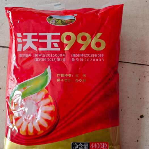 聊城红轴大棒玉米种