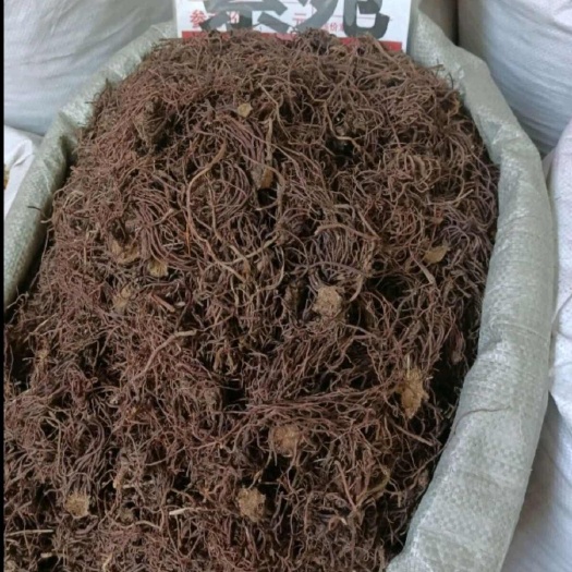 无硫统货紫苑.紫菀、紫菀茸、关公须.软紫菀、紫葥