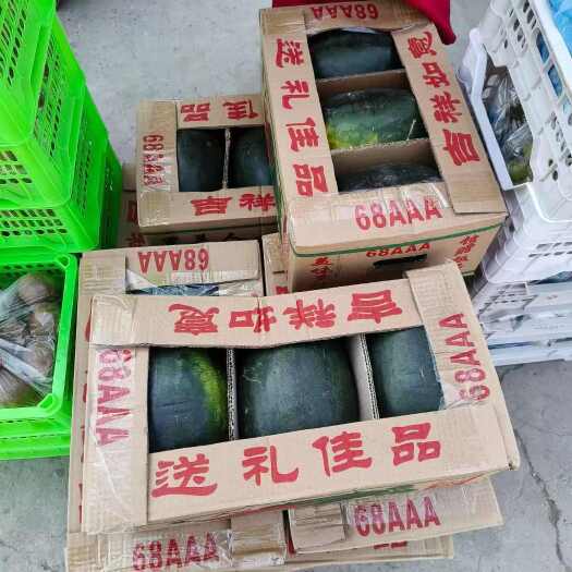 邯郸黑美人西瓜