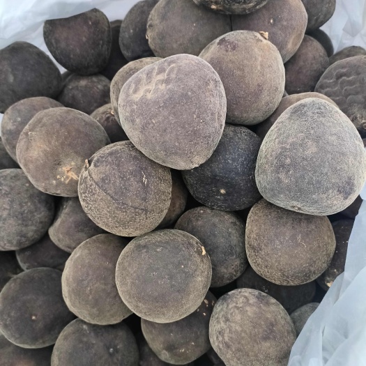 特大超大正品化州本土化橘红 ，特大超大橘红果王，