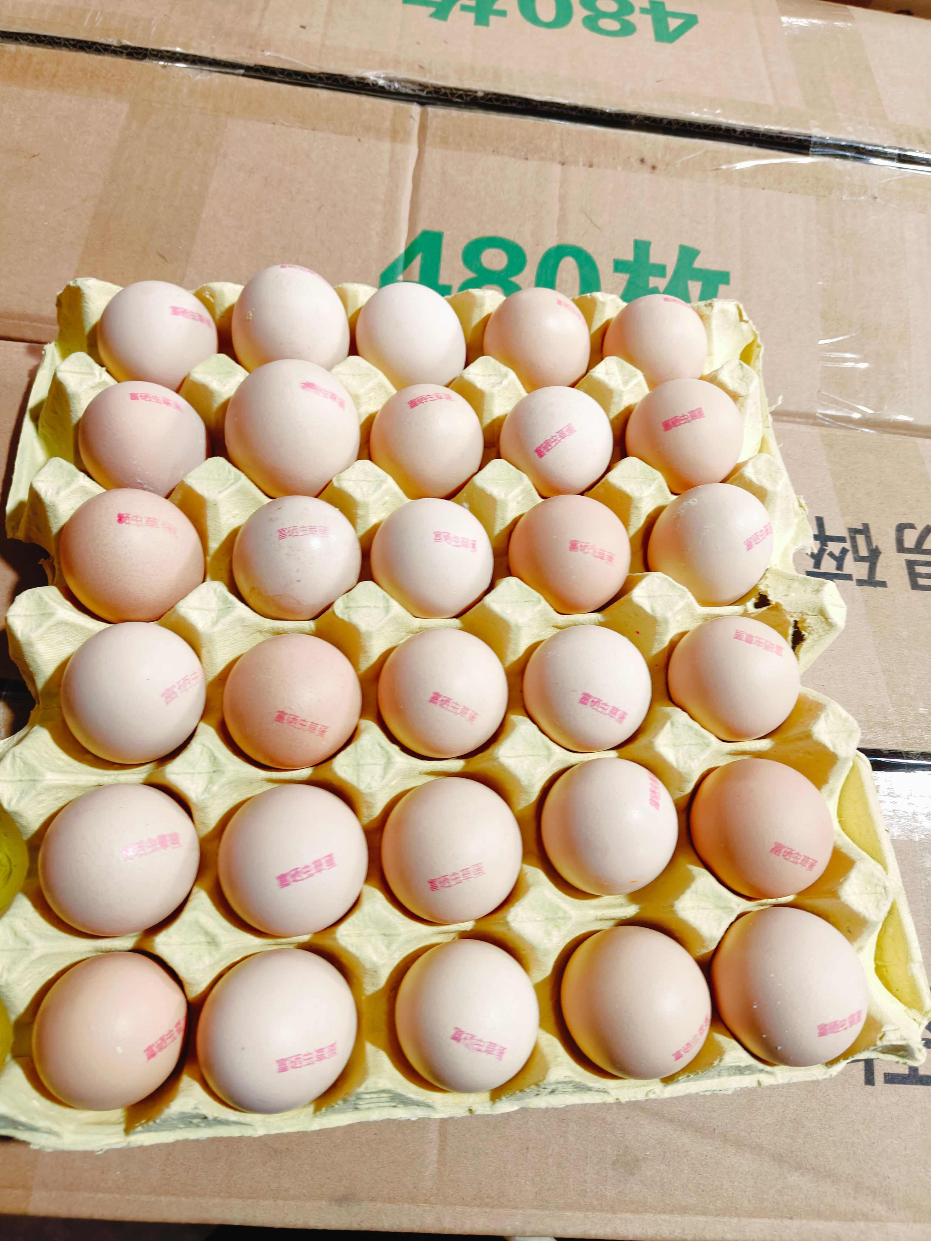 批发精品新鲜富硒鸡蛋虫草鸡蛋无抗鸡蛋土鸡蛋草鸡蛋 喷码鸡蛋
