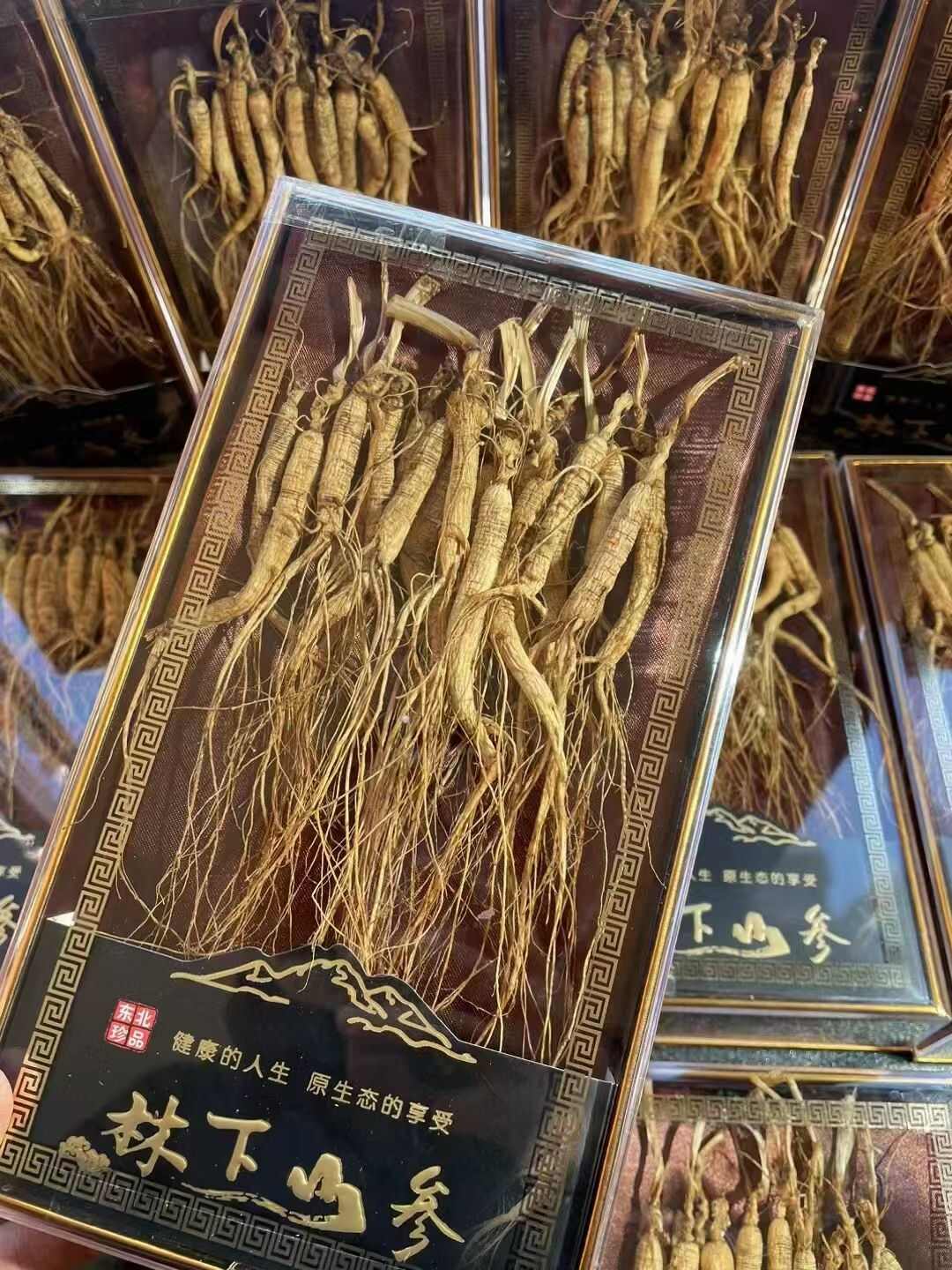 抚松县长白山林下干参
