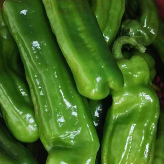 麻城市麻城辣椒，万亩产地直供，正品新鲜保证，诚信厚道经营
